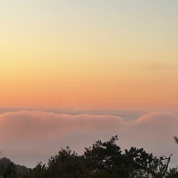 Meet your Posher, Karie - Picture 1 of 1